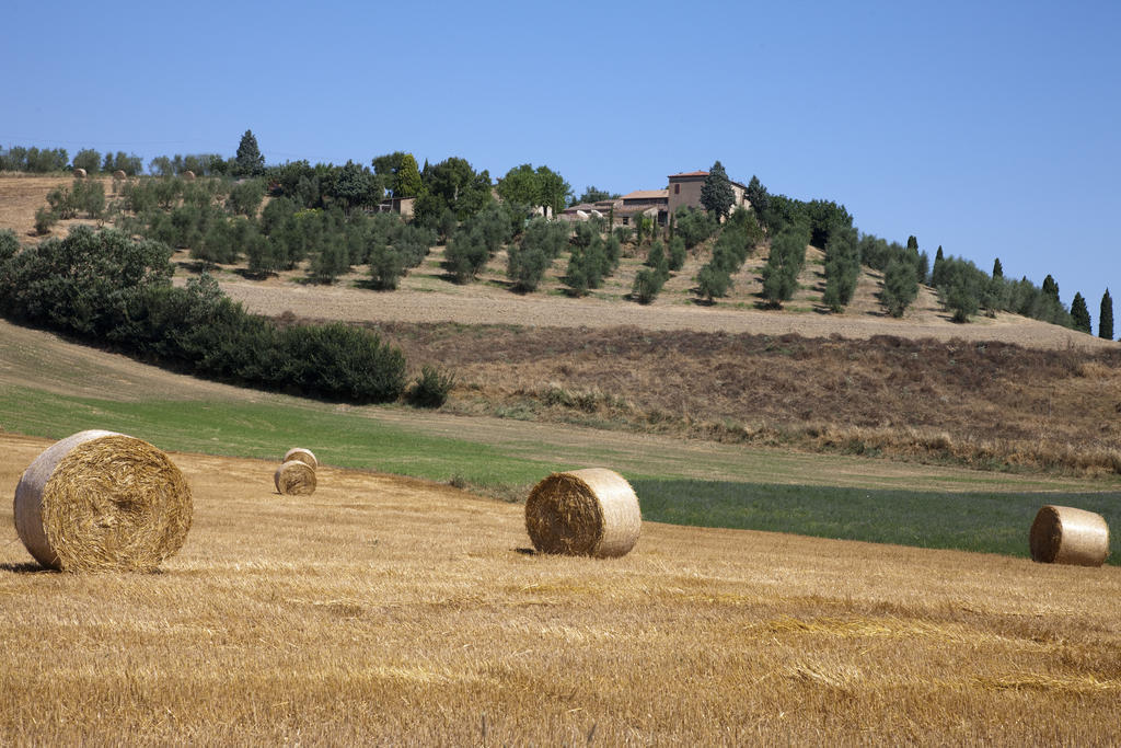 Agriturismo Podere Olivello in Val d'Orcia Montalcino Exterior foto